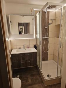 La salle de bains est pourvue d'une douche, d'un lavabo et d'un miroir. dans l'établissement Ferienwohnung im Dachgeschoss mit Aufzug, à Rostock