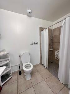 uma casa de banho branca com um WC e um chuveiro em 03 T2 Immeuble Le GD em Jarny