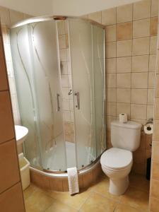 a bathroom with a shower and a toilet at Bóbita Apartman in Zalakaros
