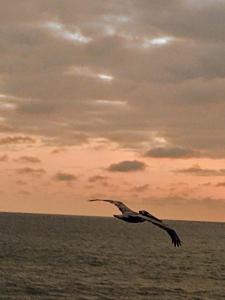 Gallery image of Cabañas yami in Playa Ladrilleros +11 photos
