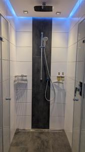 Bilik mandi di Ferienwohnung Brillant am Nationalpark Hunsrück-Hochwald