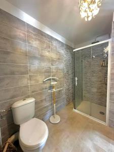 La salle de bains est pourvue de toilettes et d'une douche en verre. dans l'établissement Appartement Casa Buisan, à Argelès-sur-Mer