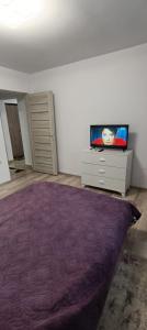 a bedroom with a purple rug and a tv on a dresser at Piano Apartament in Gura Humorului +37 photos