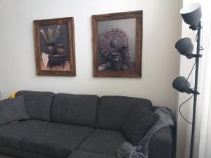 un soggiorno con divano e 2 immagini sul muro di Appartement aan de Geul a Valkenburg