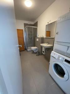 a bathroom with a washing machine and a sink at Haus Charlottenburg 3, zentrumsnah gelegen, mit Blick auf die Festung, mit Sauna Option in Königstein an der Elbe