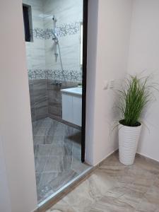 a bathroom with a shower and a sink and a plant at Summer day Chernomorets in Chernomorets