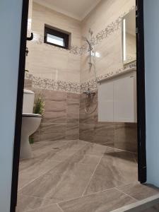 a bathroom with a shower and a toilet at Summer day Chernomorets in Chernomorets