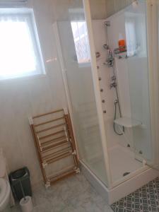 a bathroom with a shower and a toilet at L'orientale in Rouvroy