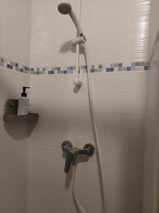 a shower with a shower head in a bathroom at Appartement Rennes stade in Rennes