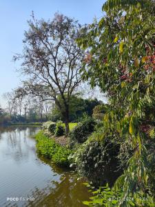 Gallery image of Sansai Lakeville in Ban Thung Khao Tok