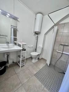 uma casa de banho com um lavatório, um WC e um chuveiro em 02 Studio Immeuble Le GD em Jarny