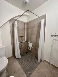 uma casa de banho com um chuveiro e um WC. em 02 Studio Immeuble Le GD em Jarny