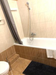 ブダペストにあるP19 Apartmentのバスルーム(トイレ、バスタブ、シャワー付)