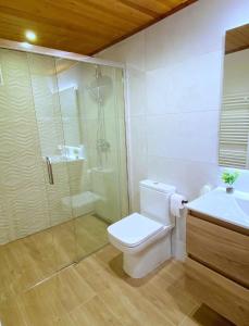 La salle de bains est pourvue d'une douche, de toilettes et d'un lavabo. dans l'établissement CHECK-IN CASAS Ixarso, à Benasque