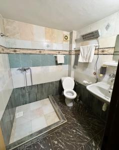 a bathroom with a toilet and a sink at Chata Kokava Línia tour 2 in Kokava na Rimavica