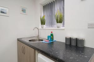 um balcão de cozinha com um lavatório e dois vasos de plantas em Matlock Studio 7 - Coventry em Coventry