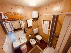 a small bathroom with a toilet and a sink at Rifugio del volpacchiotto - Piano Battaglia in Petralia Sottana