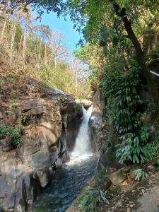 a waterfall on the side of a mountain with trees at Private waterfall and indigenous house! in Minca