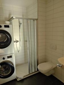 エンゲルベルクにあるSuperior Apartmentのバスルーム(シャワー、トイレ、洗濯機付)