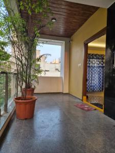 an empty room with a potted plant in front of a door at Swayamkrushi 2nd Floor in Hyderabad
