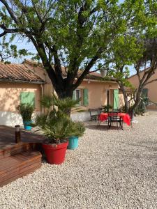 una casa con un árbol y algunas plantas en un patio en Gite 135 C, en Sarrians