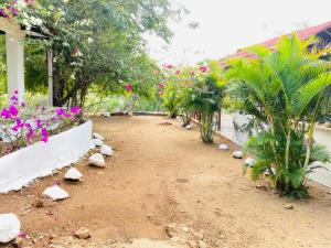 einen Garten mit Pflanzen und Blumen in einem Gebäude in der Unterkunft HOSTAL OLAS CLUB DE NEGUANJE -TAYRONA in Santa Marta