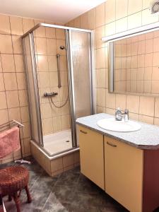 La salle de bains est pourvue d'un lavabo et d'une douche. dans l'établissement Pension Claudia Güldenpfennig, à Tangermünde