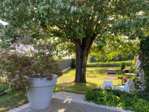 un grand pot blanc installé dans un jardin avec un arbre dans l'établissement Le 7, à Mesland