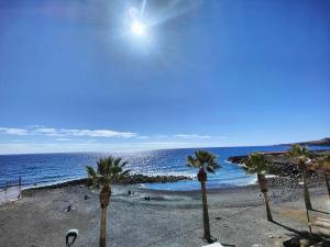 a group of palm trees on a beach with the ocean at Vacacional Sunbeach Candelaria in Candelaria