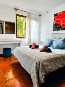 1 dormitorio con cama con almohadas y ventana en La Casa de Las Flores, en Tacoronte