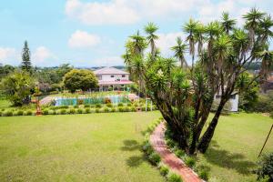 einen Garten mit Palmen und ein Haus in der Unterkunft Agroparque Las Villas in Popayan