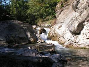 a river with rocks and a waterfall in a forest at Під горою 2 in Sheshory