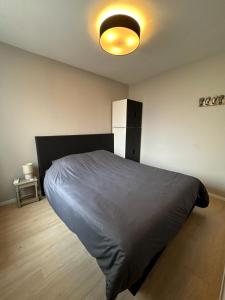 een slaapkamer met een bed en een licht aan het plafond bij Appartement Anthony in Blankenberge