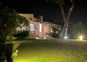 a house at night with a tree in front of it at Villa Marghe in Budoni