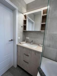 a bathroom with a sink and a mirror and a shower at Moderne stilvolle Gästewohnung in Werdau