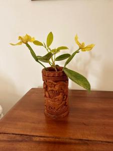 a plant in a vase sitting on a table at Linton Villa in Kalutara