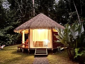 una pequeña cabaña con una escalera delante de ella en Wood cabin in the jungle with sea view, en Puerto Jiménez