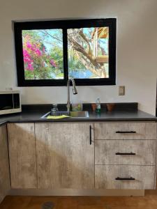 Gallery image of CoLiving in Ahuatepec