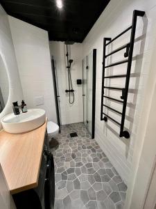 ein Bad mit einem Waschbecken, einem WC und einer Dusche in der Unterkunft Hogland Apartments - 3 in Kotka