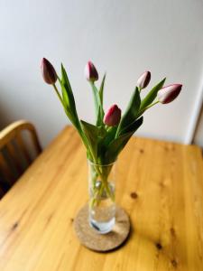 Fotografie z fotogalerie ubytování Apartmány u Pilota v Kubově Huti