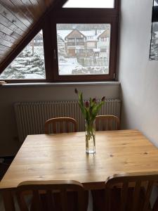 Fotografie z fotogalerie ubytování Apartmány u Pilota v Kubově Huti