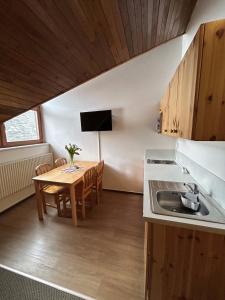 Kuchyň nebo kuchyňský kout v ubytování Apartmány u Pilota
