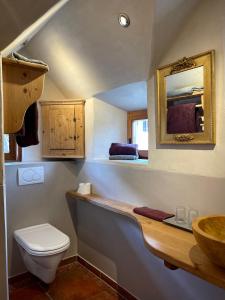 a bathroom with a toilet and a sink and a mirror at Zuhäusl am Chiemsee Appartements in Breitbrunn am Chiemsee
