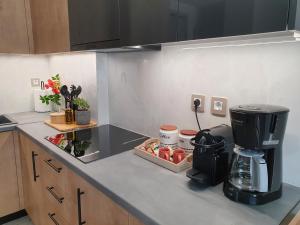 Cuisine ou kitchenette dans l'établissement Gallery House in Itea-Delphi