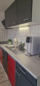 - un comptoir de cuisine avec évier et four micro-ondes dans l'établissement Haus Vineta, à Barth