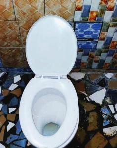 a white toilet in a bathroom with mosaic tiles at Petit Hollande guest rooms in Abémé