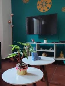 two tables with a potted plant on them in a room at DEPARTAMENTO a 5 cuadras de la Av Aristides - Ubicacion super privilegiada in Mendoza