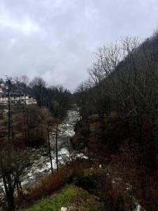 a river in the middle of a field with trees at La Grangia in Giaveno