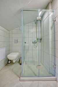 a glass shower in a bathroom with a toilet at Sakutski House in Hisarya