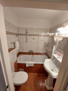 Koupelna v ubytování Hotel Apartment Rothensteiner + 27 fotografií